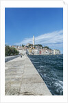 Rovinj by Anonymous