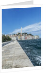 Rovinj by Anonymous