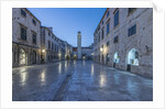 Stradun at Dawn by Anonymous