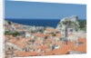 Dubrovnik Rooftops and Fort of St. Lawrence by Anonymous