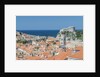 Dubrovnik Rooftops and Fort of St. Lawrence by Anonymous