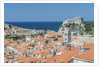 Dubrovnik Rooftops and Fort of St. Lawrence by Anonymous