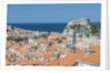 Dubrovnik Rooftops and Fort of St. Lawrence by Anonymous