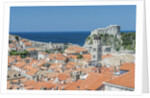 Dubrovnik Rooftops and Fort of St. Lawrence by Anonymous