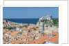 Dubrovnik Rooftops and Fort of St. Lawrence by Anonymous