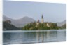 Bled Island by Anonymous