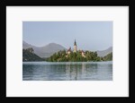 Bled Island by Anonymous