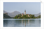 Bled Island by Anonymous