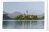Bled Island by Anonymous