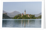 Bled Island by Anonymous