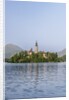 Bled Island by Anonymous