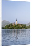 Bled Island by Anonymous