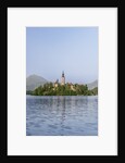 Bled Island by Anonymous