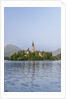 Bled Island by Anonymous
