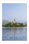 Bled Island by Anonymous