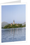 Bled Island by Anonymous