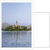 Bled Island by Anonymous