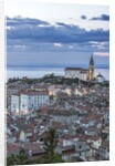 Twilight Piran by Anonymous