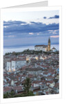 Twilight Piran by Anonymous