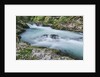 Vintgar Gorge by Anonymous