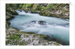 Vintgar Gorge by Anonymous