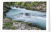 Vintgar Gorge by Anonymous