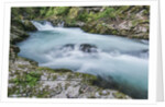 Vintgar Gorge by Anonymous