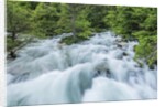 Soca River by Anonymous