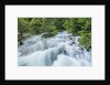 Soca River by Anonymous