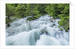 Soca River by Anonymous