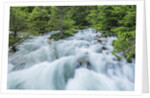 Soca River by Anonymous