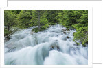 Soca River by Anonymous