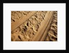 Elephant and vehicle tracks on sand road by Anonymous
