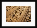 Elephant and vehicle tracks on sand road by Anonymous
