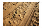 Elephant and vehicle tracks on sand road by Anonymous