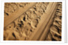 Elephant and vehicle tracks on sand road by Anonymous