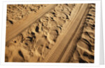 Elephant and vehicle tracks on sand road by Anonymous
