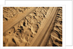 Elephant and vehicle tracks on sand road by Anonymous