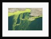Aerial view of green algae on pond by Anonymous
