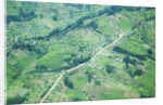 Aerial view of Tea plantations, Kenya by Anonymous
