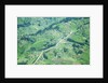 Aerial view of Tea plantations, Kenya by Anonymous