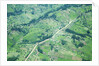 Aerial view of Tea plantations, Kenya by Anonymous