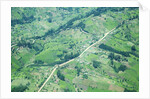 Aerial view of Tea plantations, Kenya by Anonymous