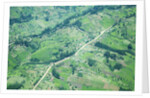 Aerial view of Tea plantations, Kenya by Anonymous