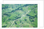 Aerial view of Tea plantations, Kenya by Anonymous