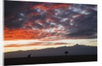 Mount Kenya, Kenya by Anonymous