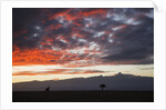 Mount Kenya, Kenya by Anonymous