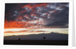 Mount Kenya, Kenya by Anonymous
