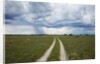 Sand road and thunderstorm, Botswana by Anonymous