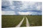 Sand road and thunderstorm, Botswana by Anonymous